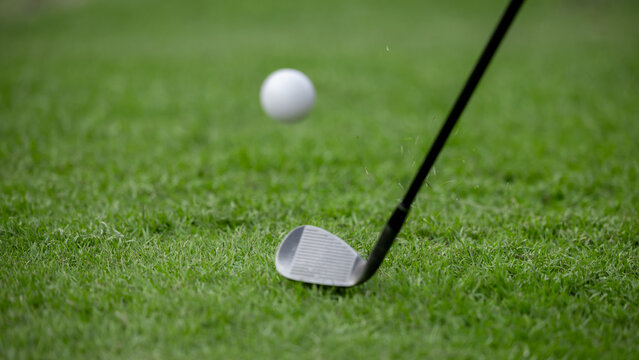 Golf club chip golf ball onto the green, Golf ball on rough chipping golf ball onto the green with golf club, Play golf ball from rough.