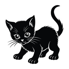 Energetic Kitten Crouching, Poised for a Playful Leap