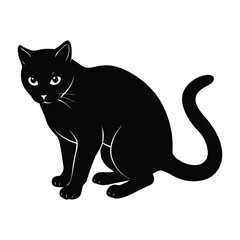 Cat Crouched Low, Stalking Its Target in Stealth