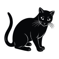 Cat in Low Crouch, Stalking Prey with Intensity