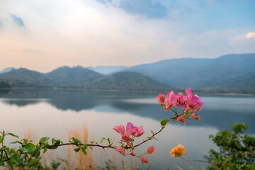 The view features a river with several mountains in the background. In the foreground, there are bougainvillea flowers in shades of pink and yellow, making it a perfect scene for a background image.