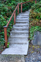 New cement stairs with wood railing up a hillside covered in salal and ivy, path to mystery destination, as a nature exploration background 
