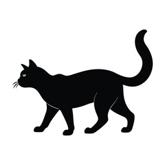 Cat Approaching with a Confident Steady Stride