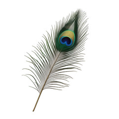 a vibrant peacock feather showcasing its intricate patterns and colors symbolizing beauty and elegance the feather is displayed against a clean white background emphasizing its natural allure