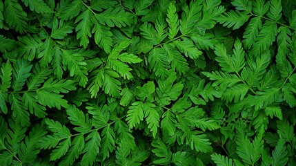 Vibrant green foliage patterns nature scene close-up lush environment aerial view organic beauty