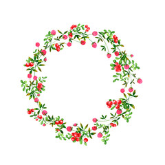 Red cowberry and clover flowers background. Set of round frames of watercolor berries and clover, dragonflies, butterflies, bumblebees. Clip art, design element.