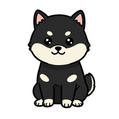 Fototapeta premium Baby Black Shiba Inu