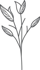 Gray floral sketch, leaves, stem, simple design, white background, website decor