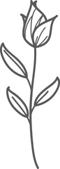 Gray floral sketch, single stem, leaves, white background, design element