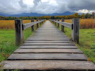 Obraz premium Charming wooden bridge nestled in a field surrounded by nature inviting relaxation and nature therapy experience