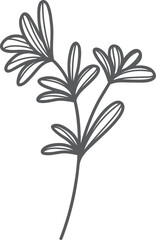 Gray floral sprig, hand-drawn, white background, design element
