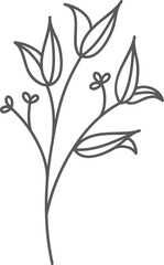 Gray floral sprig, minimalist design, white background, website decor