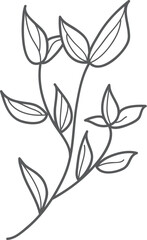 Gray foliage branch design, isolated, white background, nature art, website decor