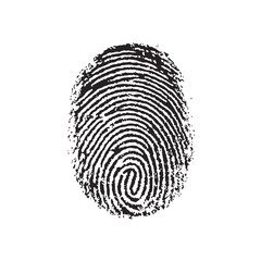 human ink fingerprint isolated on white or transparent png
