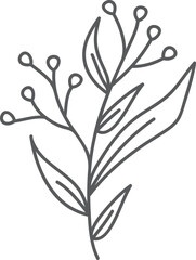Gray sketched floral branch, white background, design element