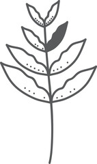 Gray stylized leaf illustration, white background, nature design, website decoration