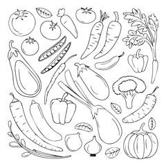 This image features a seamless pattern of various vegetables and leafy greens in a black-and-white silhouette style. The composition includes recognizable shapes such as tomatoes, carrots, bell pepper