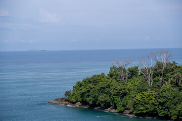 Lush tropical coastline of Gunuang Padang, Padang, West Sumatra, Indonesia, featuring a mix of vibrant green foliage and bare trees overlooking the calm blue ocean
