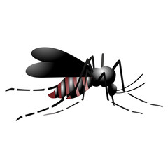 mosquito sucking blood vector illustration