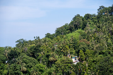 Green hill and village houses on Gunuang Padang, Padang, West Sumatra.