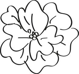 Hand-drawn flower illustration, white background, design element