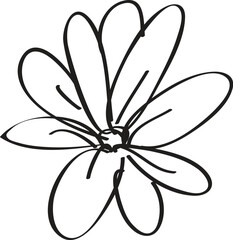 Hand-drawn flower, white background, simple design, graphic art