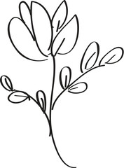 Simple floral sketch, white background, design element