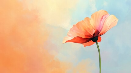 Fototapeta premium Peach poppy flower sunset sky background; greeting card