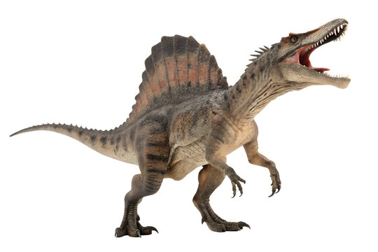spinosaurus with transparent background