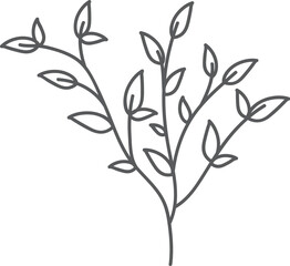 Simple grey branch illustration, leaves, white background, design element