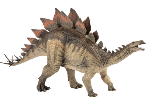 stegosaurus with transparent background