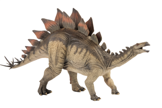 stegosaurus with transparent background