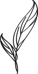 Simple leaf sketch, white background, design element