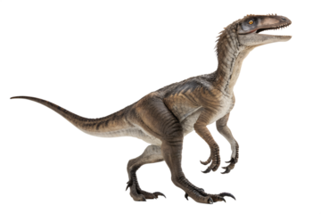velociraptor with transparent background