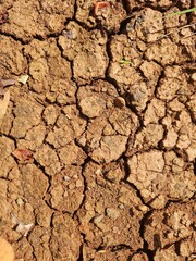 Cracked Dry Soil Under Sun