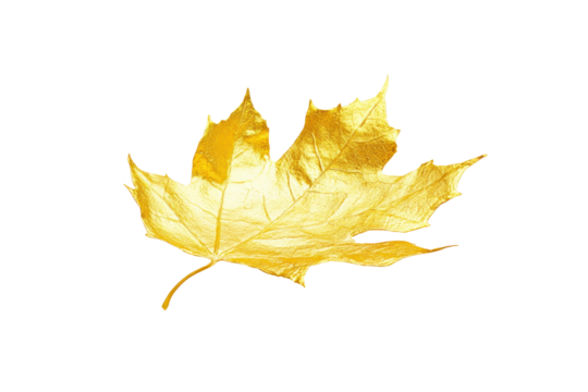 A vibrant yellow leaf with a luxurious gold foil finish, glistening in the light, creating a warm, metallic effect.