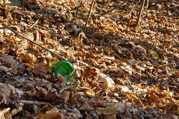 alte grüne Glasflasche zwischen braunen Laub Blättern Sonnenlicht , nachmittag , Closeup  weggeworfen im Wald, Umweltverschmutzung, in Deutschland Thüringen Gera, Frühling, keine Menschen, 