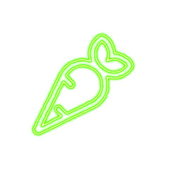 Icon carrot from the flow of energy of green color. Shimmering neon