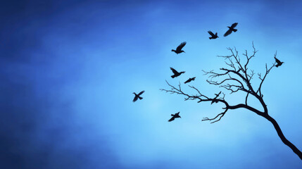 silhouette of barren tree against blue sky with flying birds evokes sense of tranquility and freedom