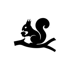 Squirrel on a white & Black 