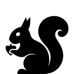 Squirrel on a white & Black 