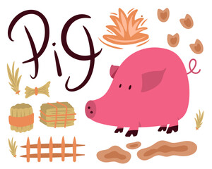 Pig vector illustration set with farming design elements