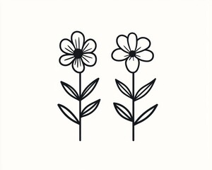 Simple flower line art, white background, botanical illustration, design element