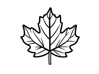 Obraz premium Simple Maple Leaf Line Drawing, Isolated, White Background, Autumn Design