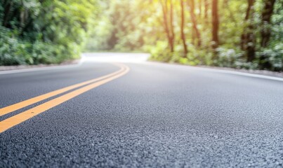 Obraz premium Winding Asphalt Road Curve Through Lush Green Forest Under Soft Sunlight in a Scenic Natural Landscape