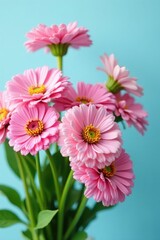 Obraz premium Pink zinnias in a loose, colorful bouquet on a soft blue background, delicate petals, loose bouquet, natural look