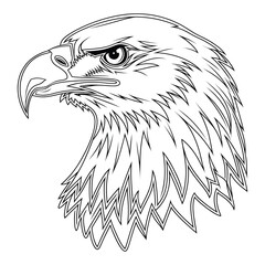  Bald Eagle Head, Fierce Bird, Predator Line Art Illustration