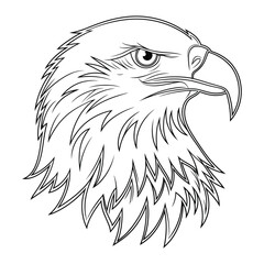  Bald Eagle Head, Fierce Bird, Predator Line Art Illustration