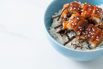 eel rice bowl or unagi rice bowl