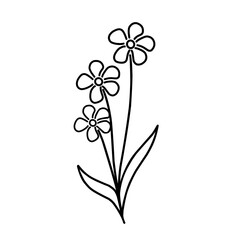 vector illustration of a flower